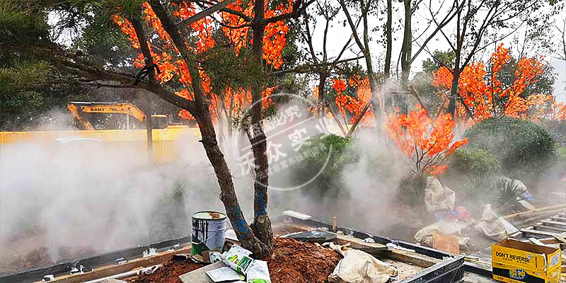 徐州鳳凰源著(zhù)人造霧項目